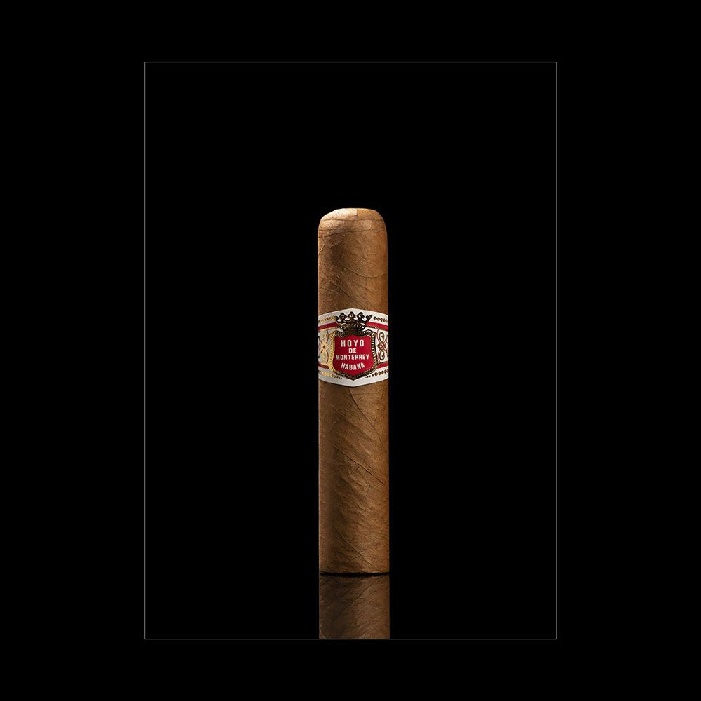 HOYO DE MONTERREY PETIT ROBUSTOS (BACK IN STOCK!)