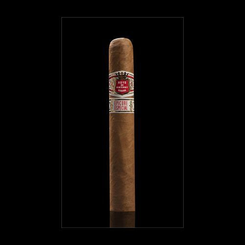 HOYO DE MONTERREY EPICURE No.2
