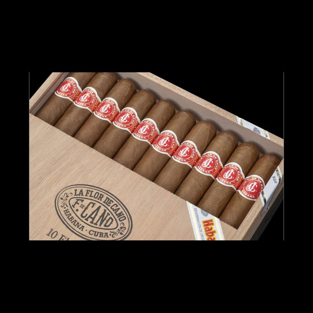 LA FLOR DE CANO ELEGIDOS
