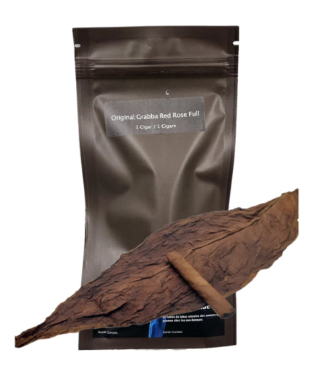 ORIGINAL GRBBA RUSSIAN CREAM JR